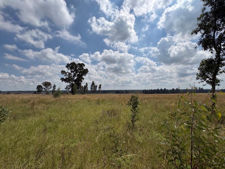 0 Bedroom Property for Sale in Vaalpark Free State